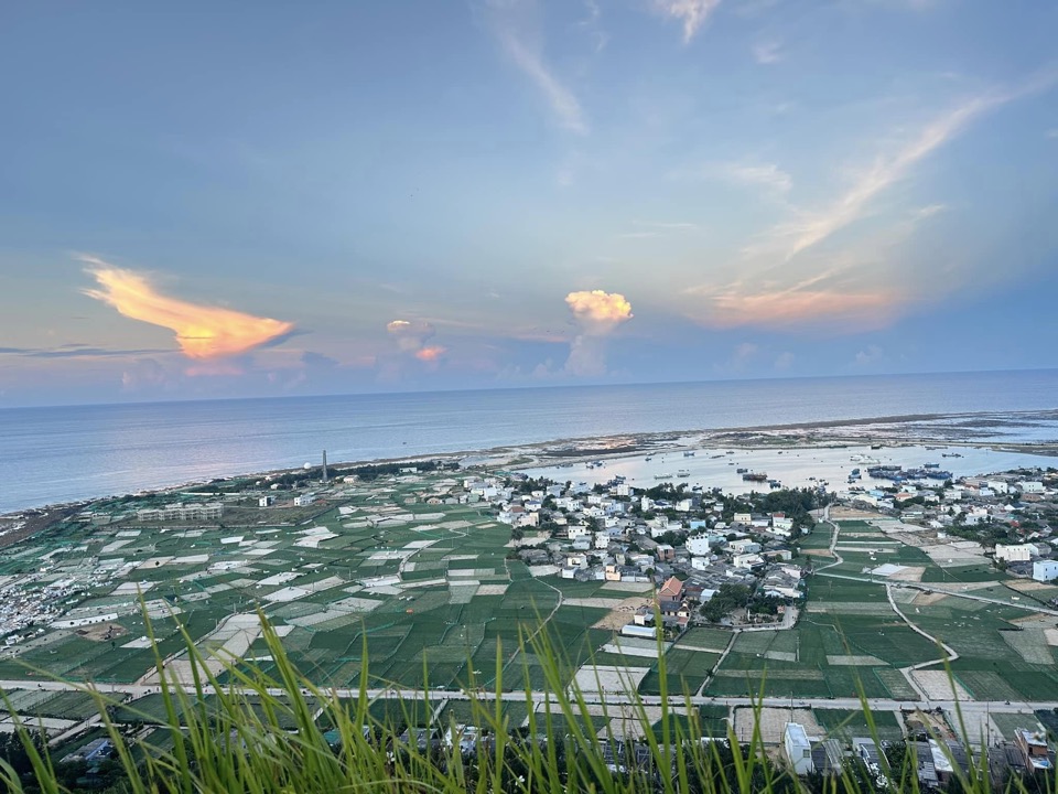 Cánh đồng hành tỏi tại Lý Sơn