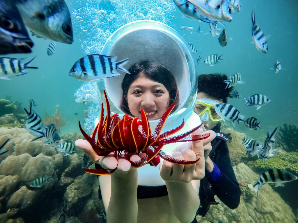 Tour đi bộ dưới biển Quy Nhơn