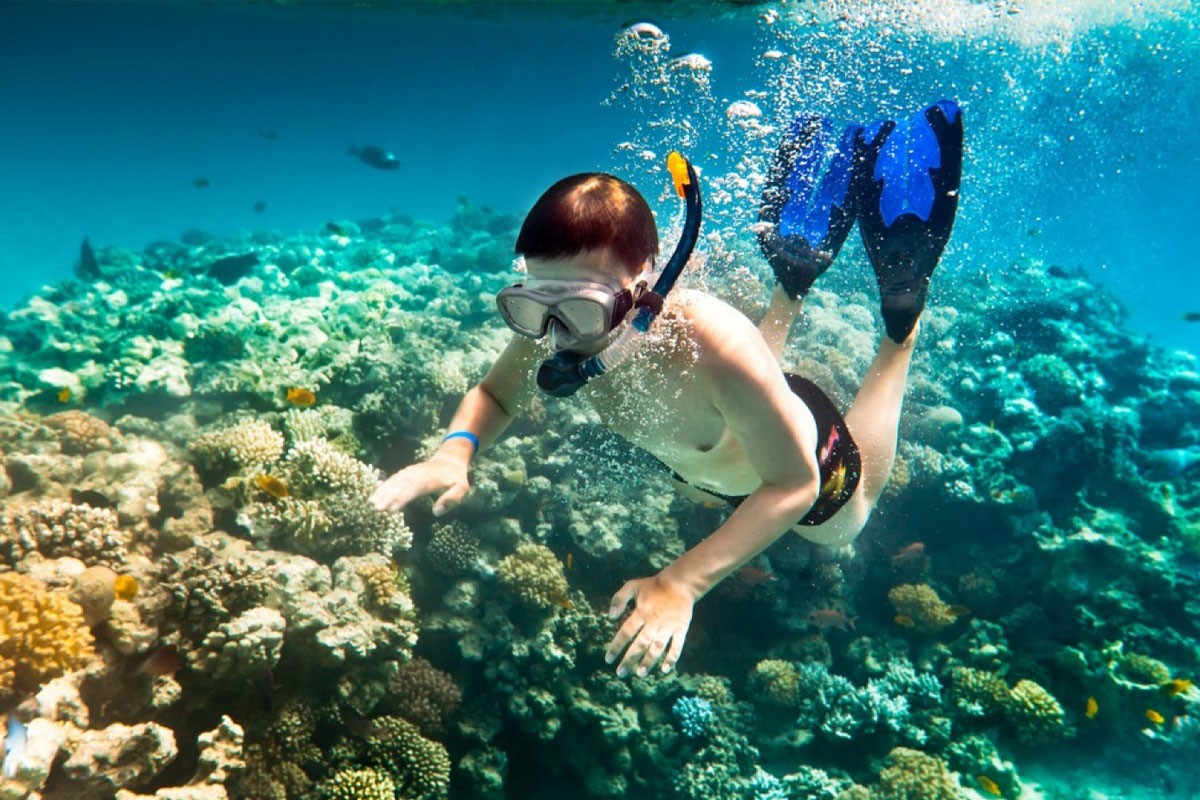 TOUR LẶN BIỂN QUY NHƠN – QUY NHON DIVING TOUR 1 DAY