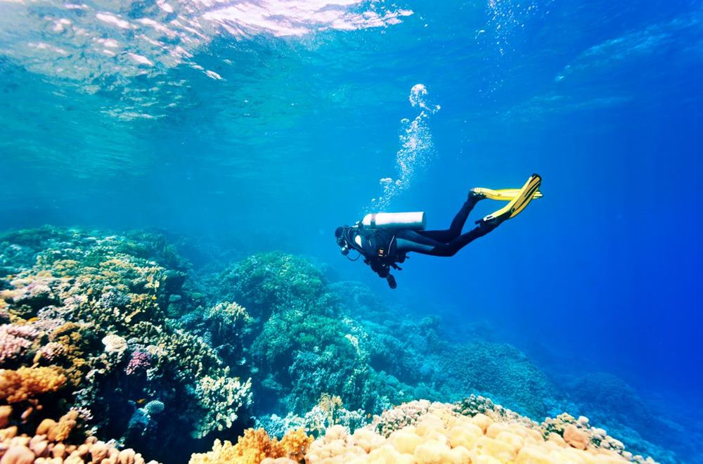 Tour ngắm san hô tại Hòn Khô - Quy Nhơn