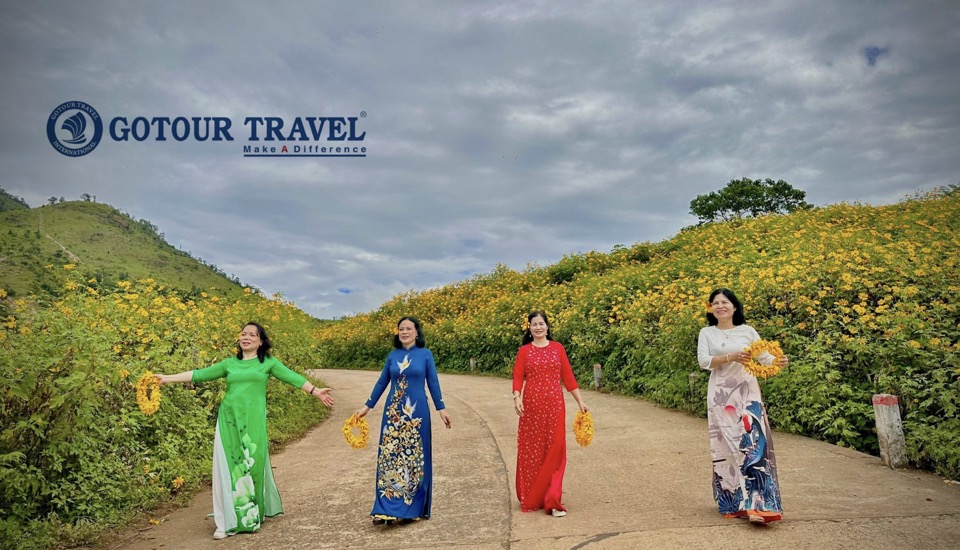 Mùa hoa Dã Quỳ Gia Lai 2023 - Tour Gia Lai